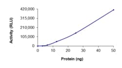 Sino Biological&nbsp;Recombinant Human Aurora B Protein (Full Length, G160L, GST Tag), Active